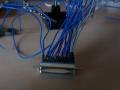 imag0036